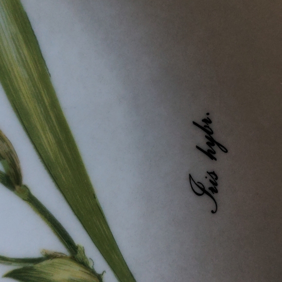 VTG AK Kaiser Plate - Picture 3 of 6